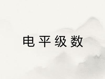 电平级数