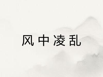 风中凌乱