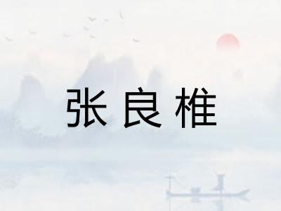 张良椎