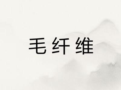 毛纤维