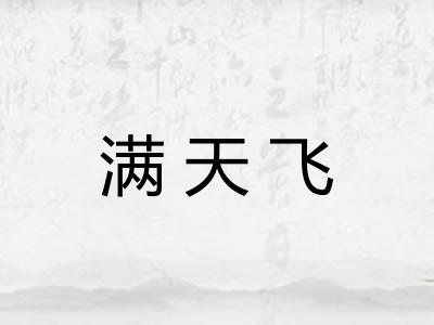 满天飞