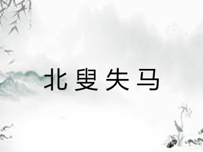 北叟失马