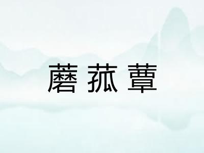 蘑菰蕈