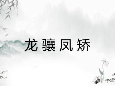 龙骧凤矫