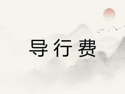 导行费