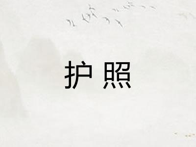 护照