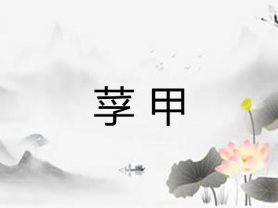 莩甲