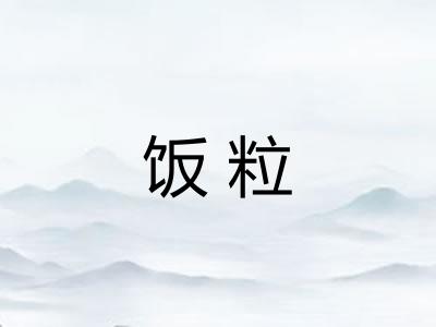 饭粒