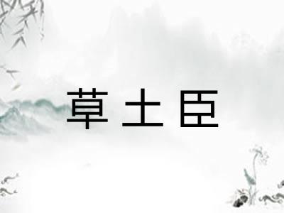 草土臣