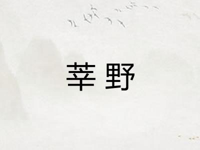 莘野