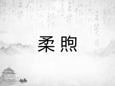 柔煦