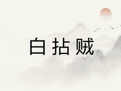 白拈贼