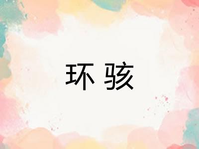 环骇
