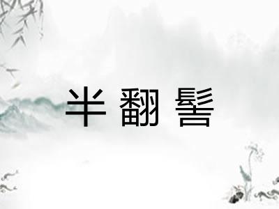半翻髻