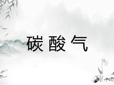 碳酸气