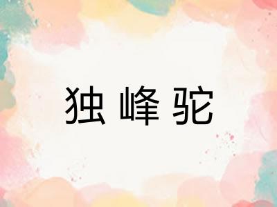 独峰驼