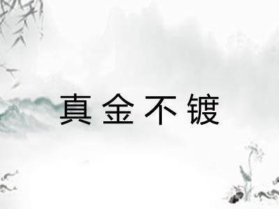 真金不镀