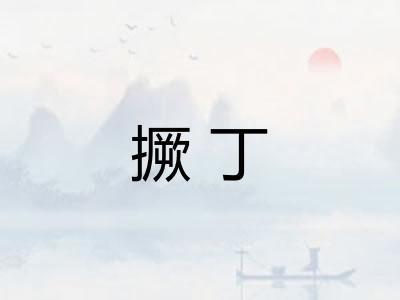 撅丁