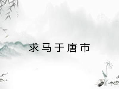 求马于唐市