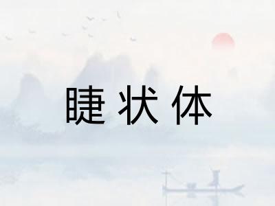 睫状体