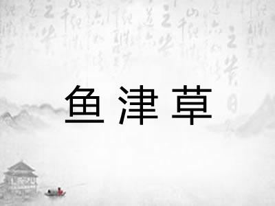 鱼津草