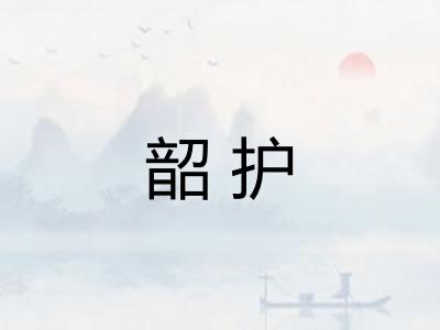 韶护