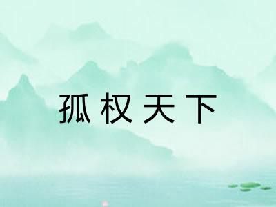 孤权天下