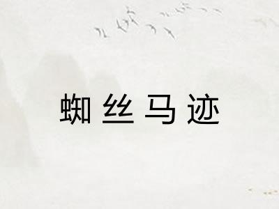 蜘丝马迹