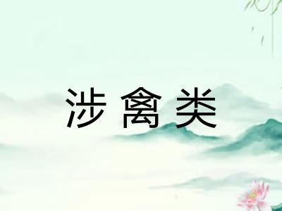涉禽类