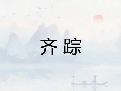 齐踪