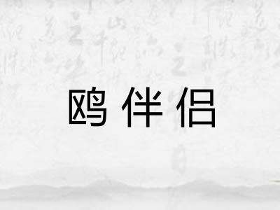鸥伴侣