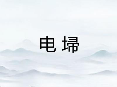 电埽