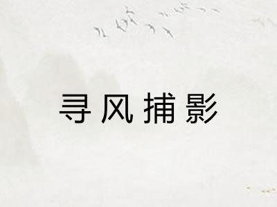 寻风捕影