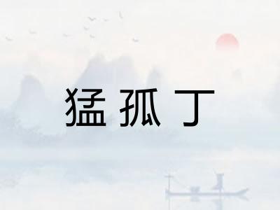 猛孤丁