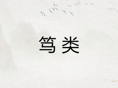笃类