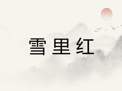 雪里红