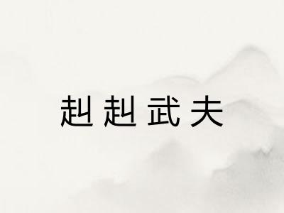 赳赳武夫