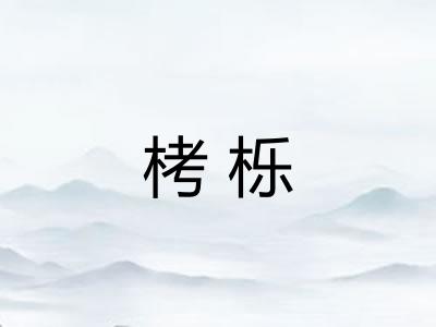 栲栎