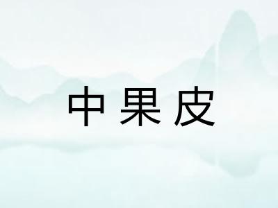 中果皮