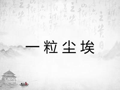一粒尘埃