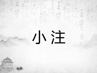 小注