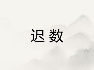 迟数