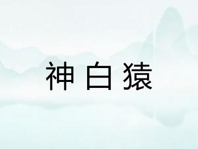 神白猿