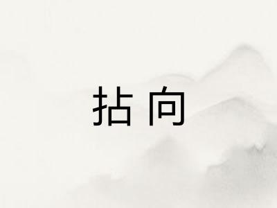 拈向