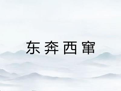 东奔西窜