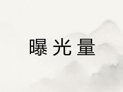 曝光量