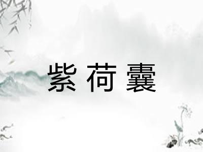 紫荷囊
