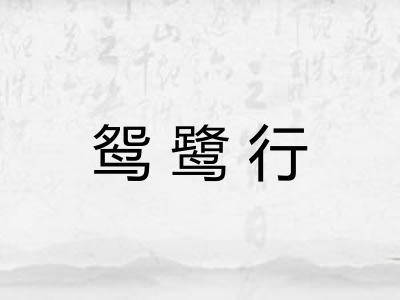 鸳鹭行