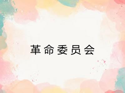革命委员会
