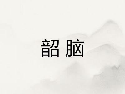 韶脑
